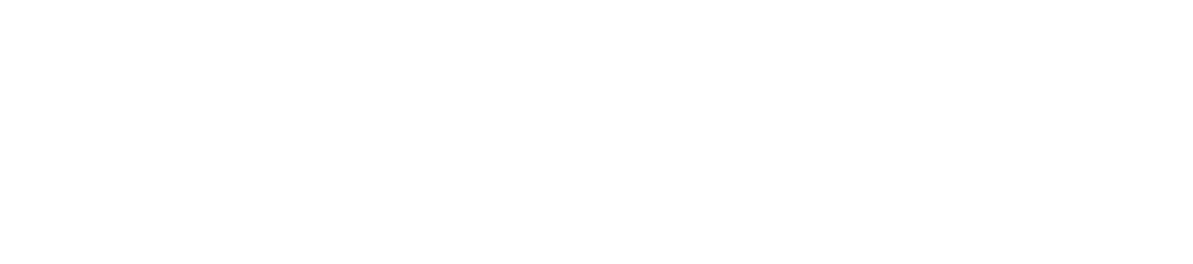 Expert POS